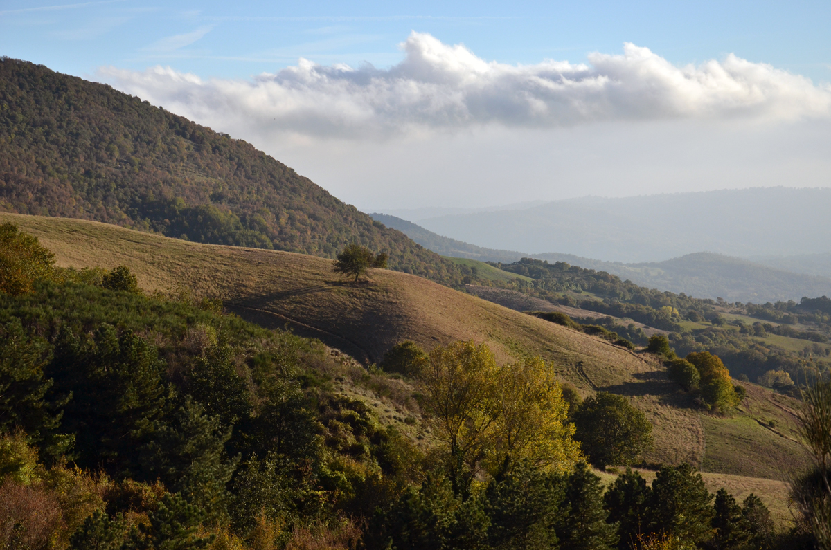 Il panorama che si vede dal monte Aquilaia